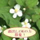 【顔出しOKな方！】どくだみ健康飲料「ドクダミ・プロ」のモニター募集！/モニター・サンプル企画