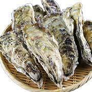 「【お顔出し写真募集】【岩手県産 特大殻付き牡蠣】お試しモニター大募集」の画像、株式会社アクセルクリエィションのモニター・サンプル企画