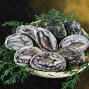 「【お顔出し写真・年齢出し募集】 お刺し身　蝦夷アワビ（殻付き）」の画像、株式会社アクセルクリエィションのモニター・サンプル企画