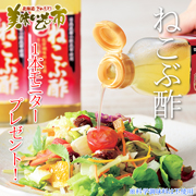 「【ねこぶ酢】毎日の健康から料理まで！お料理モニター大募集♪」の画像、株式会社アクセルクリエィションのモニター・サンプル企画