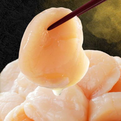 オホーツク海産 北海道ホタテ お刺身用500g