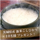 一等米と秋の味覚【平成22年産 新米こしひかり1kg/10名様プレゼント！】/モニター・サンプル企画