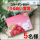 【顔出しOKの5名様！】大人気コラーゲンゼリープレゼント！美味しさをインスタで紹介してください★/モニター・サンプル企画