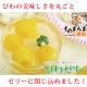 イベント「枇杷を丸ごと閉じ込めた！亀屋本店「まるごと びわゼリー」！ 【そのまんま通販】」の画像