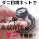 イベント「あなたの家は大丈夫？ダニ目視キットでベッドと敷布団のダニ生態調査モニター」の画像