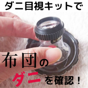 「あなたの家は大丈夫？ダニ目視キットで布団とじゅうたんのダニ生態調査モニター【ダニ捕りロボもプレゼント♪】」の画像、有限会社ティシビィジャパンのモニター・サンプル企画