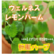 眠りリペア～「ウェルネスレモンバーム」本格体験第７弾！/モニター・サンプル企画