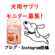 イベント「【愛犬の運動不足や筋力UPに！】「筋トレわんわん」投稿イベント・第7弾！」の画像
