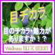 イベント「リクエストにお応え！「ウェルネスブルーベリー」本格体験イベント第１弾！」の画像
