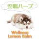イベント「眠りリペア～「ウェルネスレモンバーム」本格体験第５弾！」の画像