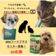 イベント「うちの子自慢！わんちゃん、ねこちゃんかわいい動画大募集！犬・猫用/健康サポ―トジ補助「MREフードプラス モニター募集」20名様」の画像