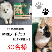 「【30名様限定】ペットの健康が気になる方へ！犬・猫用/健康サポート食品「MREフードプラス モニター募集」」の画像、株式会社スターネットのモニター・サンプル企画