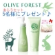 イベント「オリーブで上質洗顔☆OLIVE FORESTあらうセットモニター5名様募集♪」の画像