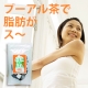 イベント「お茶で健康的にダイエット★クセがなくて飲みやすい！話題のプーアル茶をお試し」の画像
