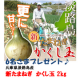 イベント「【画像投稿】我が家のお気に入り・こだわりの場所をパチリ★新玉ねぎかくし玉 2kg」の画像