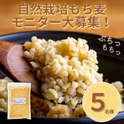 「【お料理上手さん大募集】自然栽培の「もち麦」レシピをInstagramで教えてください！」の画像、株式会社オーレックホールディングスのモニター・サンプル企画