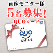 「【QUOカード（1,000円）／女性画像モニター／顔出し不要】トップや分け目の薄毛にお悩みの方！指定の画像を送るだけ！」の画像、プレミアムショッピング（株式会社ステップワールド運営）のモニター・サンプル企画