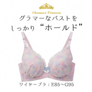 「インスタ投稿☆GPワイヤーブラ(E85~G95)10名様モニター募集」の画像、株式会社いずみのモニター・サンプル企画