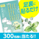 イベント「【300人募集】貼って寝るだけ！足裏からデトックスシート☆」の画像