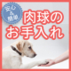 イベント「【犬モデル募集】ワンちゃんの飼い主さん必見！マイナスイオン水で肉球お手入れ♪」の画像