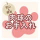 イベント「ワンちゃんの飼い主さん必見です！マイナスイオン水で肉球お手入れ♪」の画像