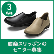 「【新商品モニター】膝を気にせず歩ける&rdquo;膝楽&rdquo;シューズのモニター募集！」の画像、株式会社AKAISHIのモニター・サンプル企画