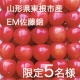 イベント「【顔出しモデル募集】山形県東根市佐藤錦さくらんぼモニター大募集！」の画像