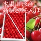イベント「ブログで紹介するだけ！今が旬！初夏の宝石「高級さくらんぼ佐藤錦」本場山形産」の画像