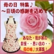 イベント「☆母の日特集☆ &ldquo;母の味&rdquo;を教えてください！エプロンショップ【シュクココロ】」の画像