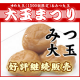 イベント「紀州・南部川　梅見月の梅干し　「大玉まつり」　みつ大玉1kg3名様モニター募集★」の画像