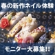 【来店モニター募集】ランキングに参加して春の新作ネイルを無料体験しよう！/モニター・サンプル企画