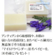 敏感肌やお肌の弱い方のためのお肌に優しい手作り洗顔石鹸。ナチュラルメイクも落とせて潤うマイルドラベンダー（旧名ベイビー）30名様/モニター・サンプル企画