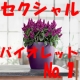 イベント「こんなすごい鉢を考えたのはドイツだ？レチューザ・モニター大募集～バイオレット編～」の画像