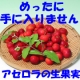 【生と言えば、・・・】めったに手に入らない、アセロラの生果実☆プレゼント/モニター・サンプル企画