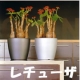イベント「かわいそうな植木を見せてくれませんか？～ドイツ製、魔法の植木鉢モニター大募集～」の画像