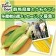 イベント「【らでぃっしゅぼーや】甘～い旬の味のとうもろこし♪　生産者応援メッセージ募集！」の画像