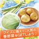 【らでぃっしゅぼーや】春野菜の注文数NO.1は？クイズに答えて春野菜をGET♪/モニター・サンプル企画