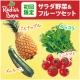 今がチャンス☆らでぃっしゅぼーや新鮮野菜＆フルーツセットを、初回特別価格にて！/モニター・サンプル企画