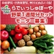 イベント「【らでぃっしゅぼーや】　「有機野菜」をご自宅までお届け◆宅配１週間分セット◆」の画像