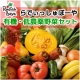 イベント「新鮮野菜が中心！選べるセット（900円～）お申込みで、豪華★たんかく牛プレゼント」の画像