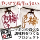モニタープレゼント【石神邑】やっぱり梅干しはうまい「梅にくみそ」OR「梅カレー」/モニター・サンプル企画