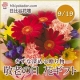 イベント「【日比谷花壇】9/19は【敬老の日】。お花と一緒に届けたい、感謝の言葉は？」の画像