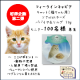 イベント「第二弾　予防医学をもちいた穀物不使用　キャットレトルトフード（総合栄養食）」の画像