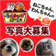 【犬猫飼い主さま限定】あなたのねこちゃん・わんちゃんがモデルデビュー？♡マルトモ発行カタログやポスターに掲載されるチャンス！