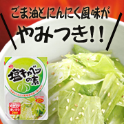 「やみつきになる味！マルトモ「塩キャベツの素」モニター１５名様募集！」の画像、マルトモ株式会社のモニター・サンプル企画
