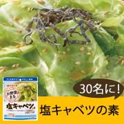 「簡単なアンケートで、人気のお野菜まるをモニター品として30名様に！」の画像、マルトモ株式会社のモニター・サンプル企画