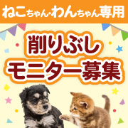 「【犬猫飼い主さま限定企画】キャンペーンで欲しい賞品教えてください♪簡単アンケートに答えて商品お試し！モニター後アンケートなし！」の画像、マルトモ株式会社のモニター・サンプル企画