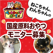 【犬猫飼い主さま限定企画】国産原料使用おやつ試作品＆好評発売中「だいすきシリーズ」からお楽しみ2品！