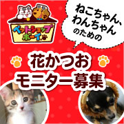 「【ねこちゃん・わんちゃんへのモニター】発売中の商品３種+試作品1種！ペット専用かつお節の食べ比べモニター30名様募集！」の画像、マルトモ株式会社のモニター・サンプル企画