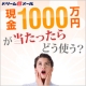 イベント「【カキコミ】　☆ドリームメールより☆　現金1000万円が当たったら、どう使う？」の画像